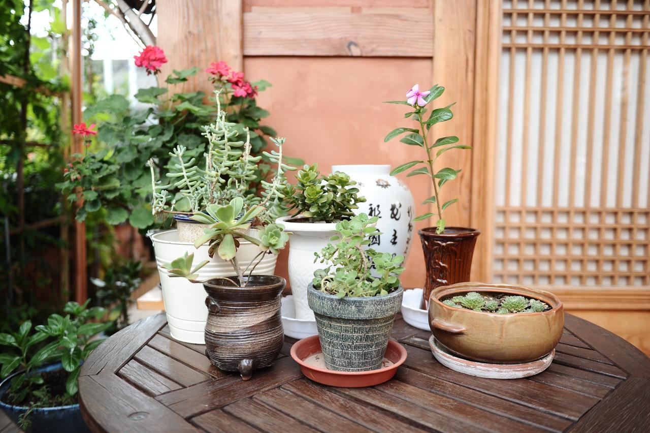 Starlight Rest Area Hotel Jeonju Luaran gambar